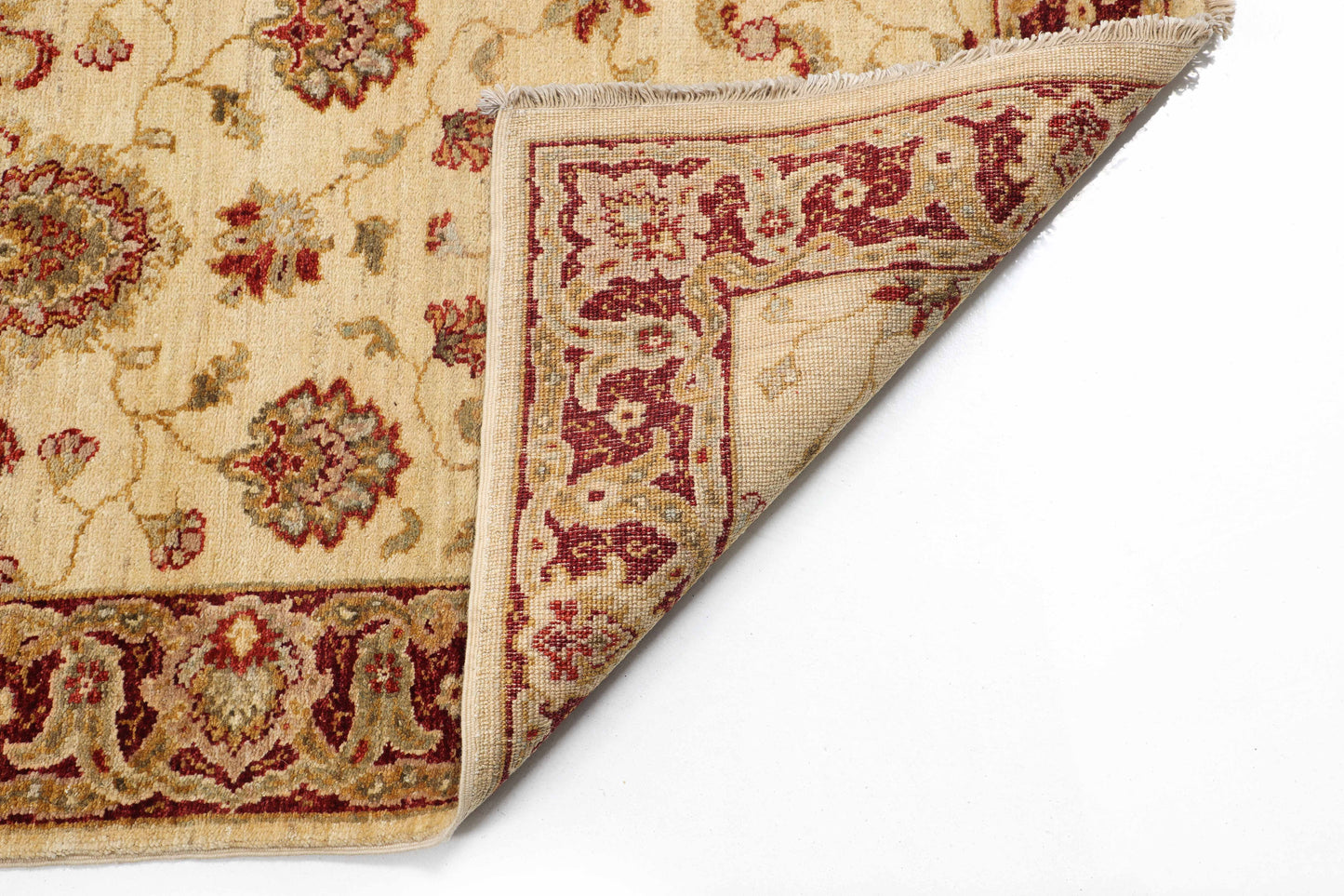 TRANSITIONAL-D40666
