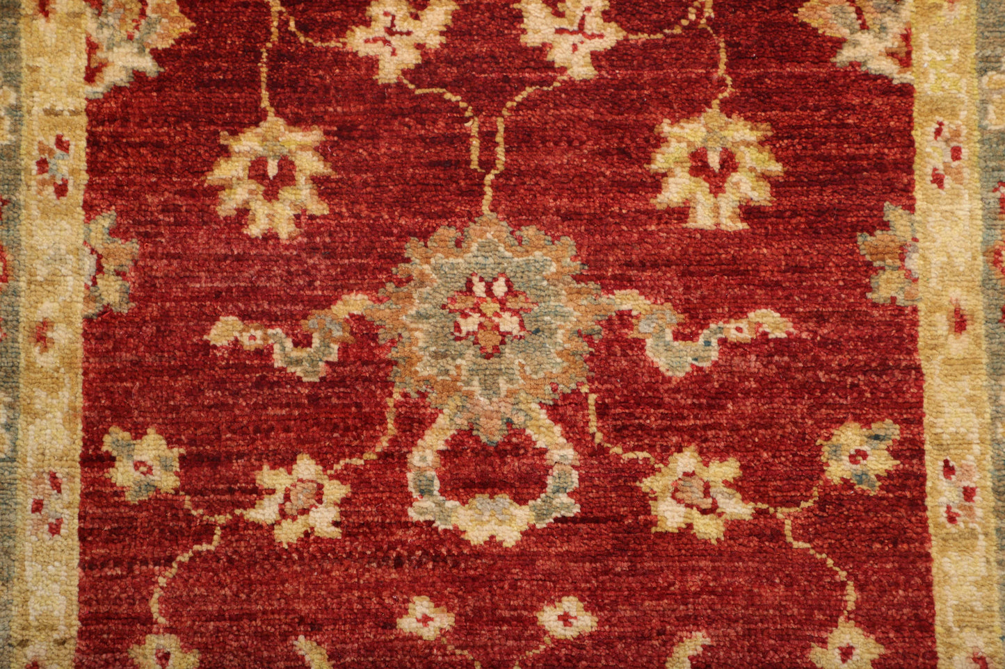 TRANSITIONAL-D40671