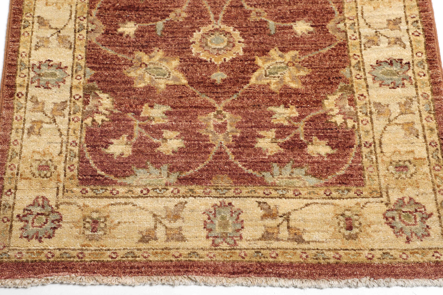 TRANSITIONAL-D46871