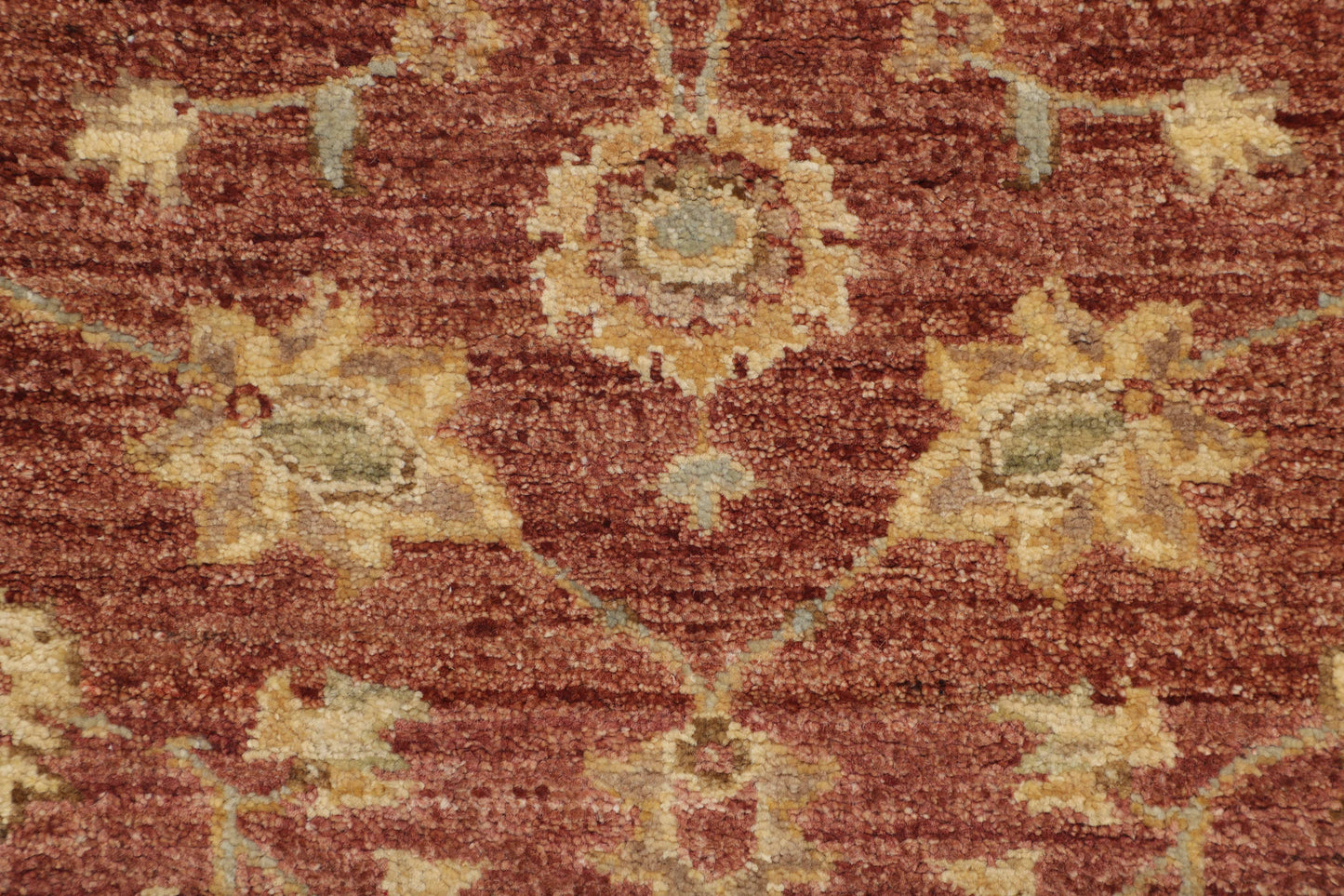 TRANSITIONAL-D46871