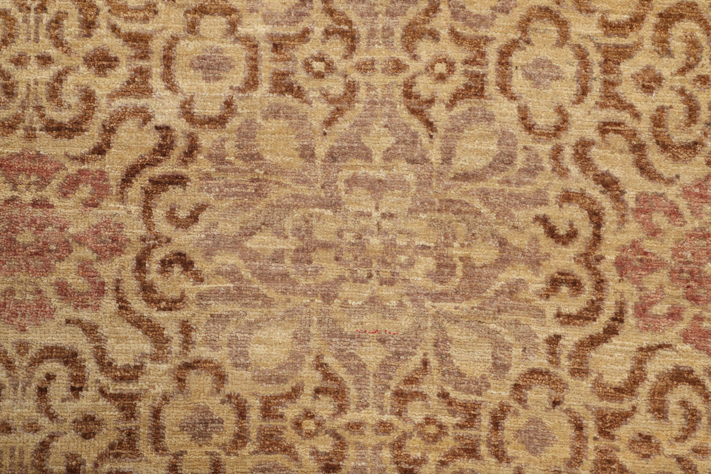 TRANSITIONAL-D52741