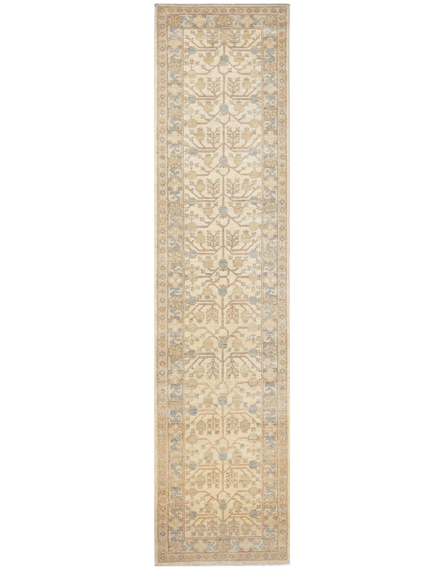 TRANISTIONAL-D51543