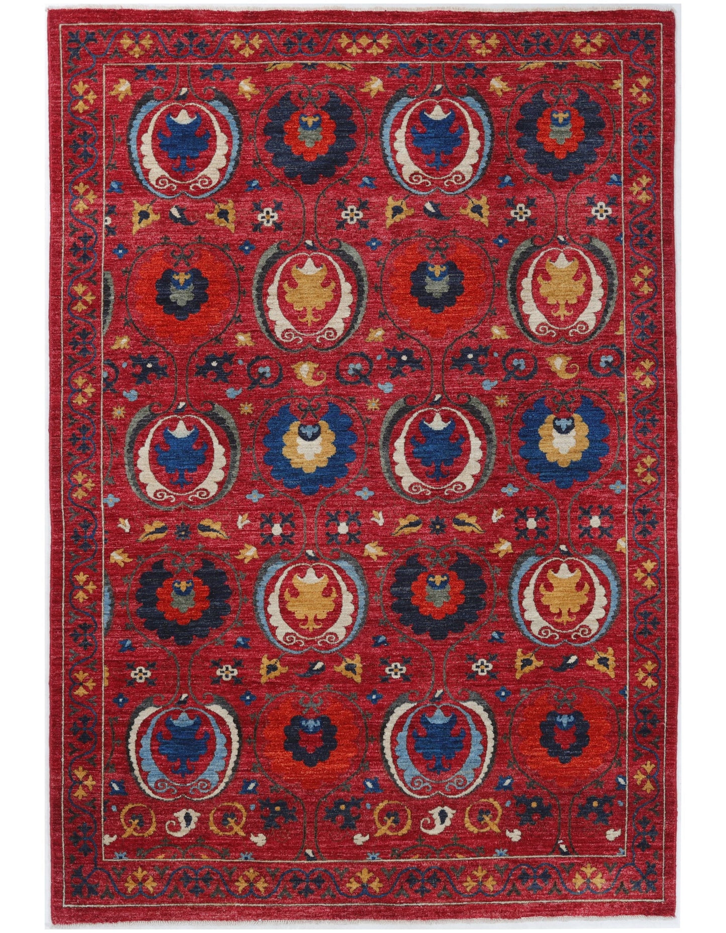 TRANSITIONAL-D56798