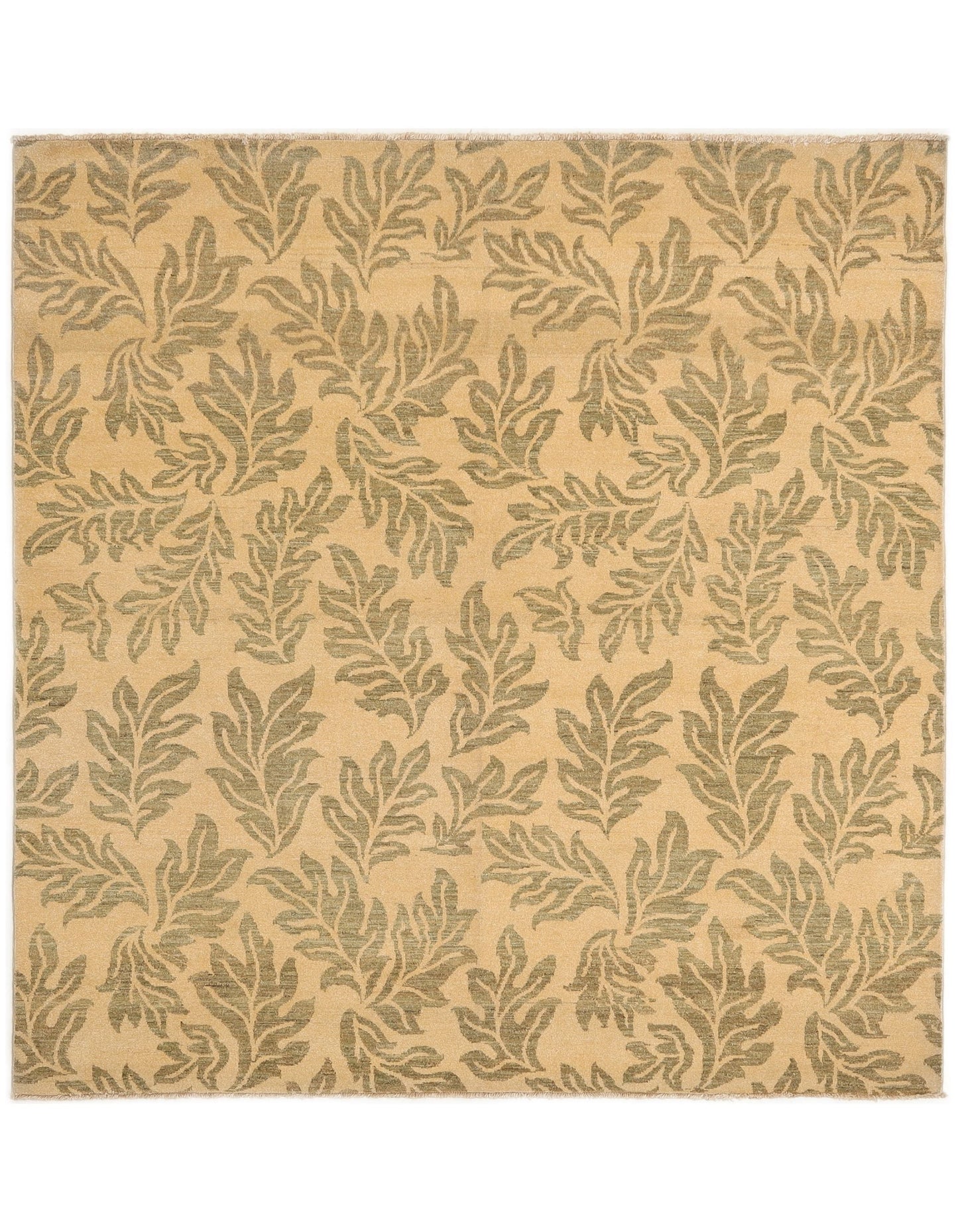 TRANSITIONAL-D38967