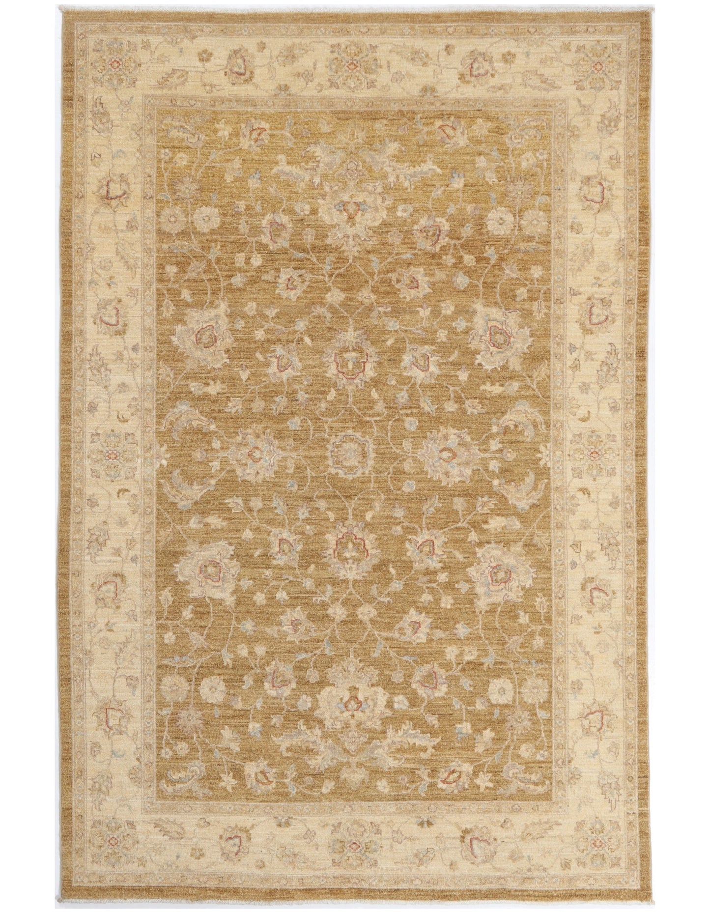 TRANSITIONAL-D46289