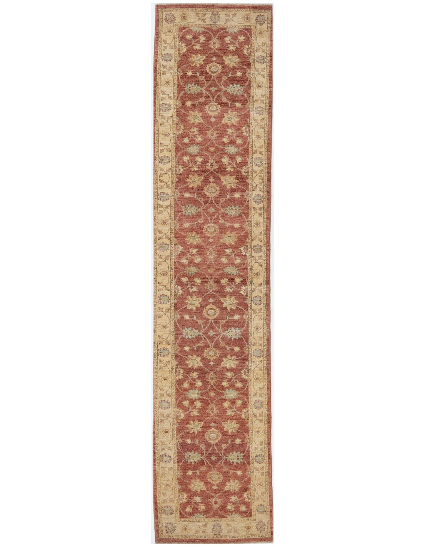 TRANSITIONAL-D46871