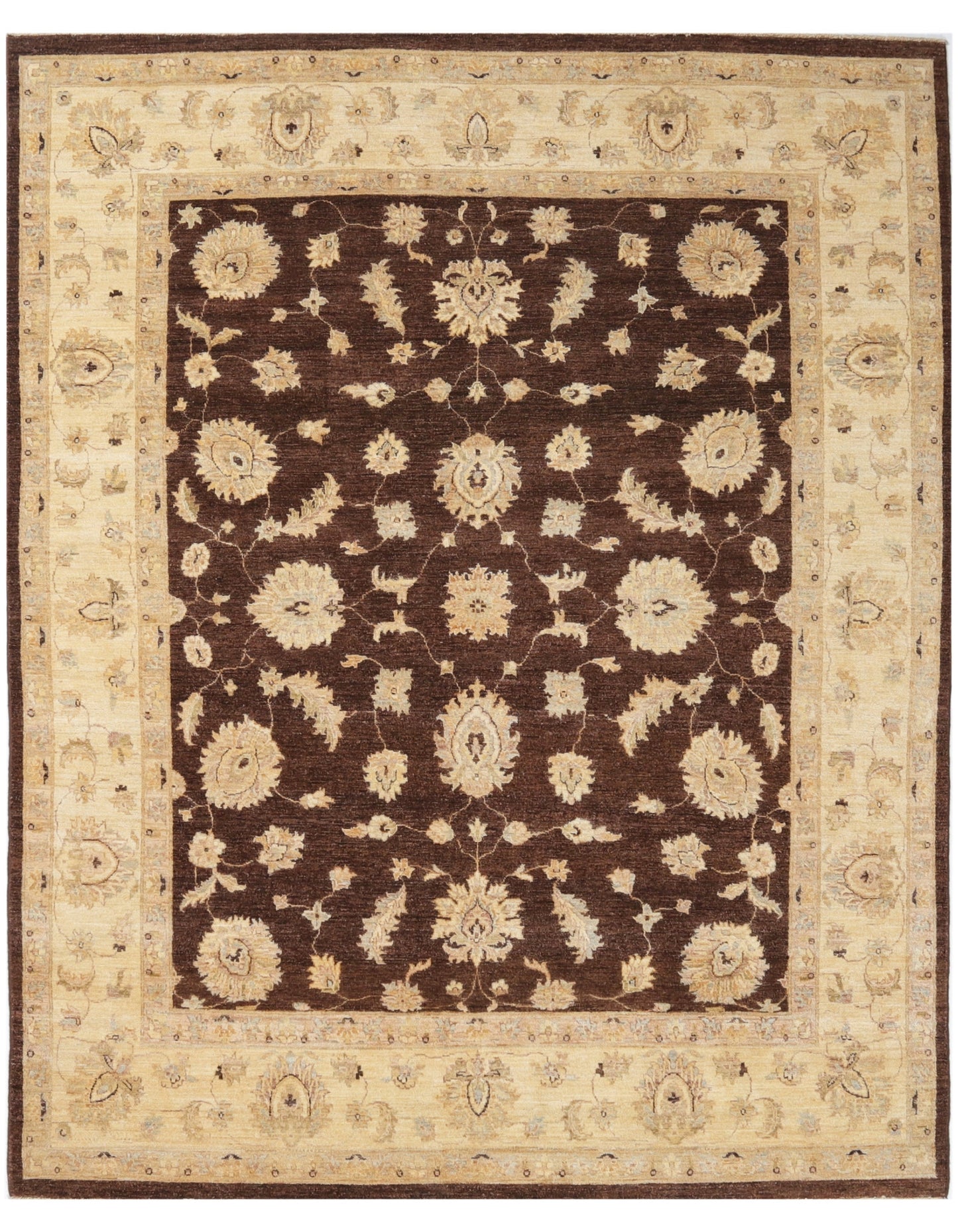 TRANSITIONAL-D47098