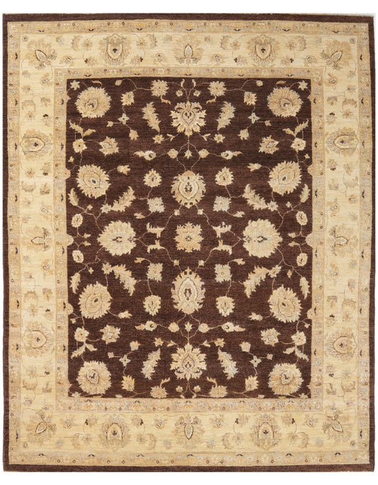 TRANSITIONAL-D47098