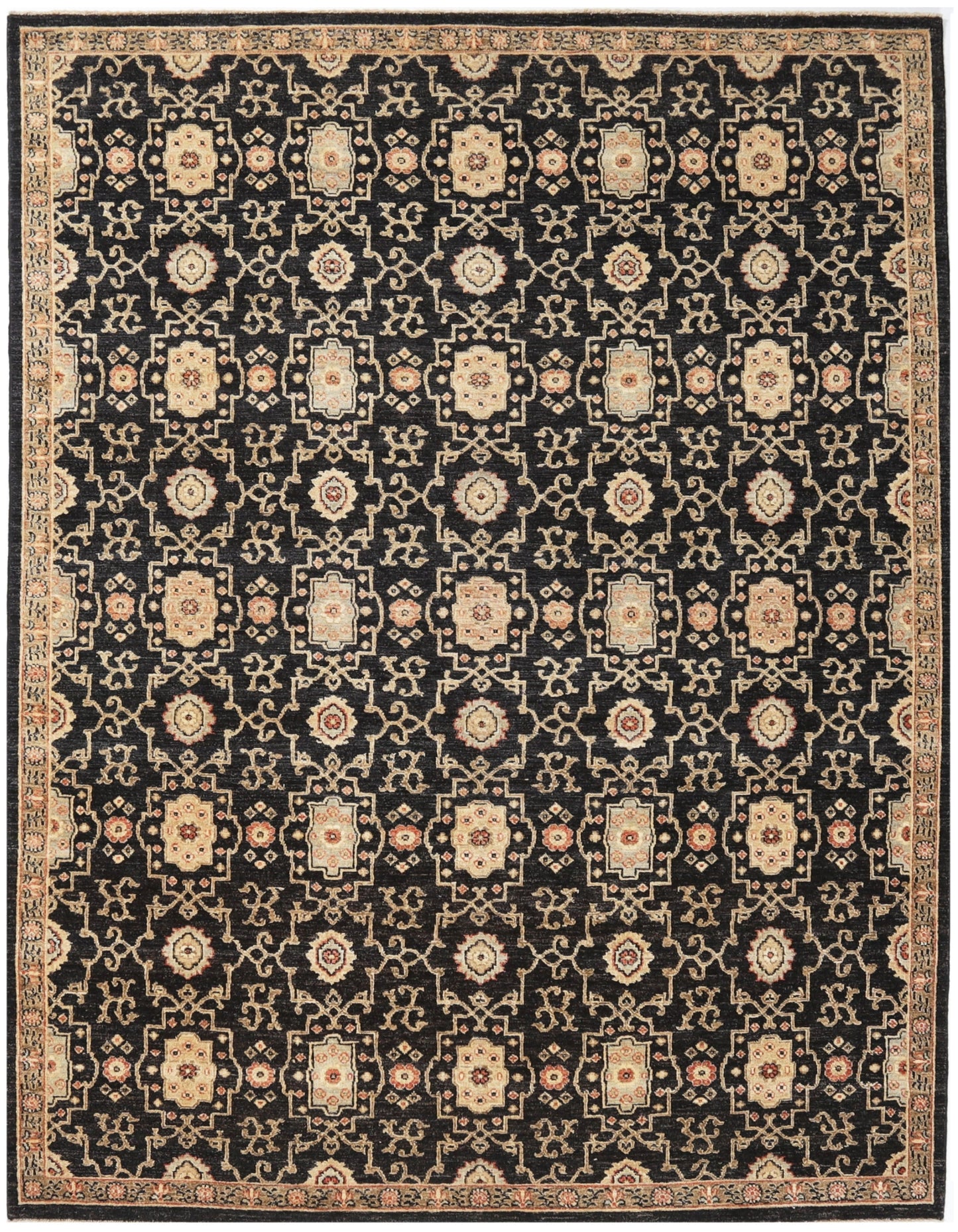 TRANSITIONAL-D47804