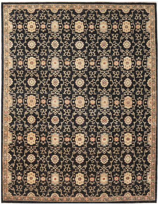 TRANSITIONAL-D47804