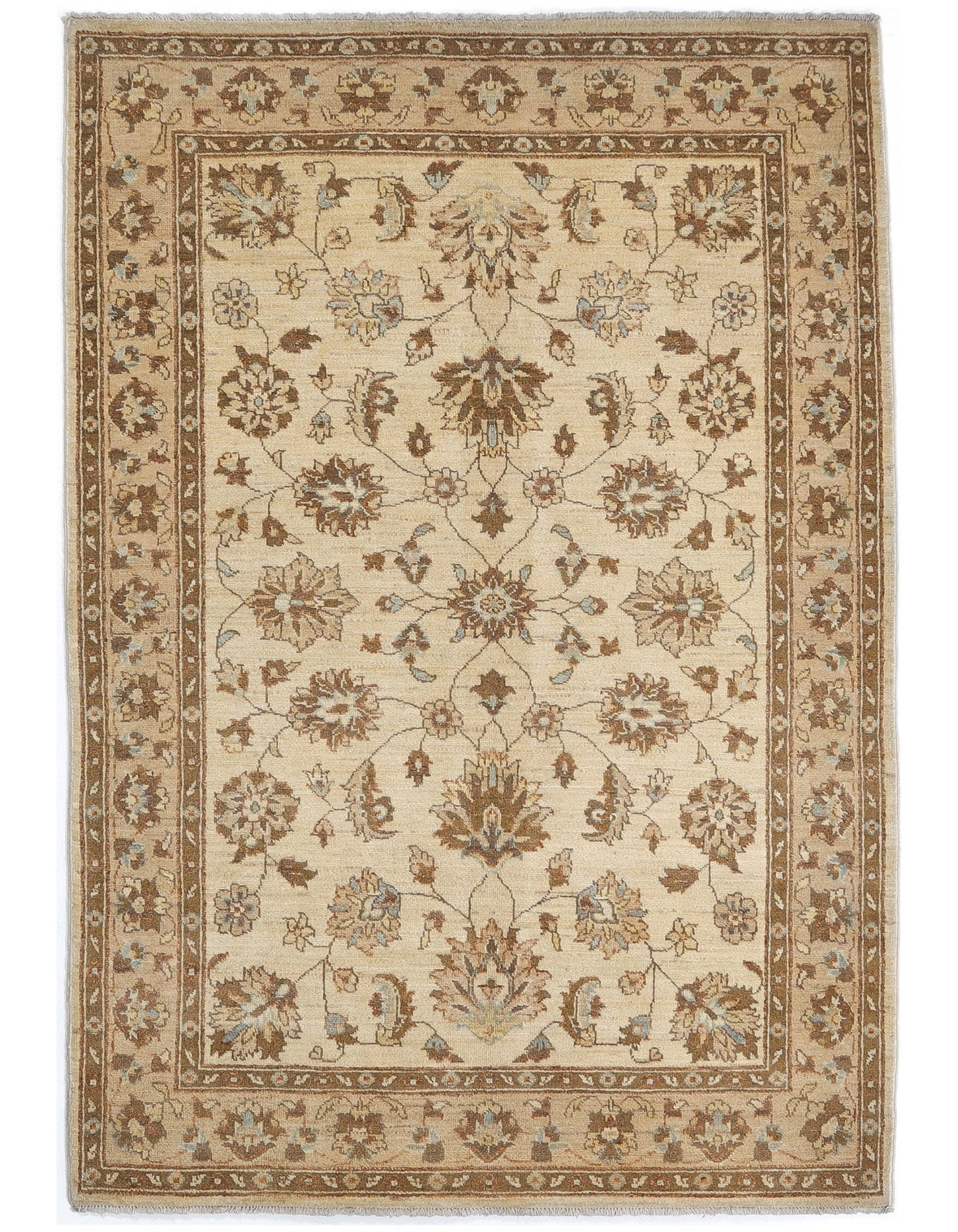 TRANSITIONAL-D48097