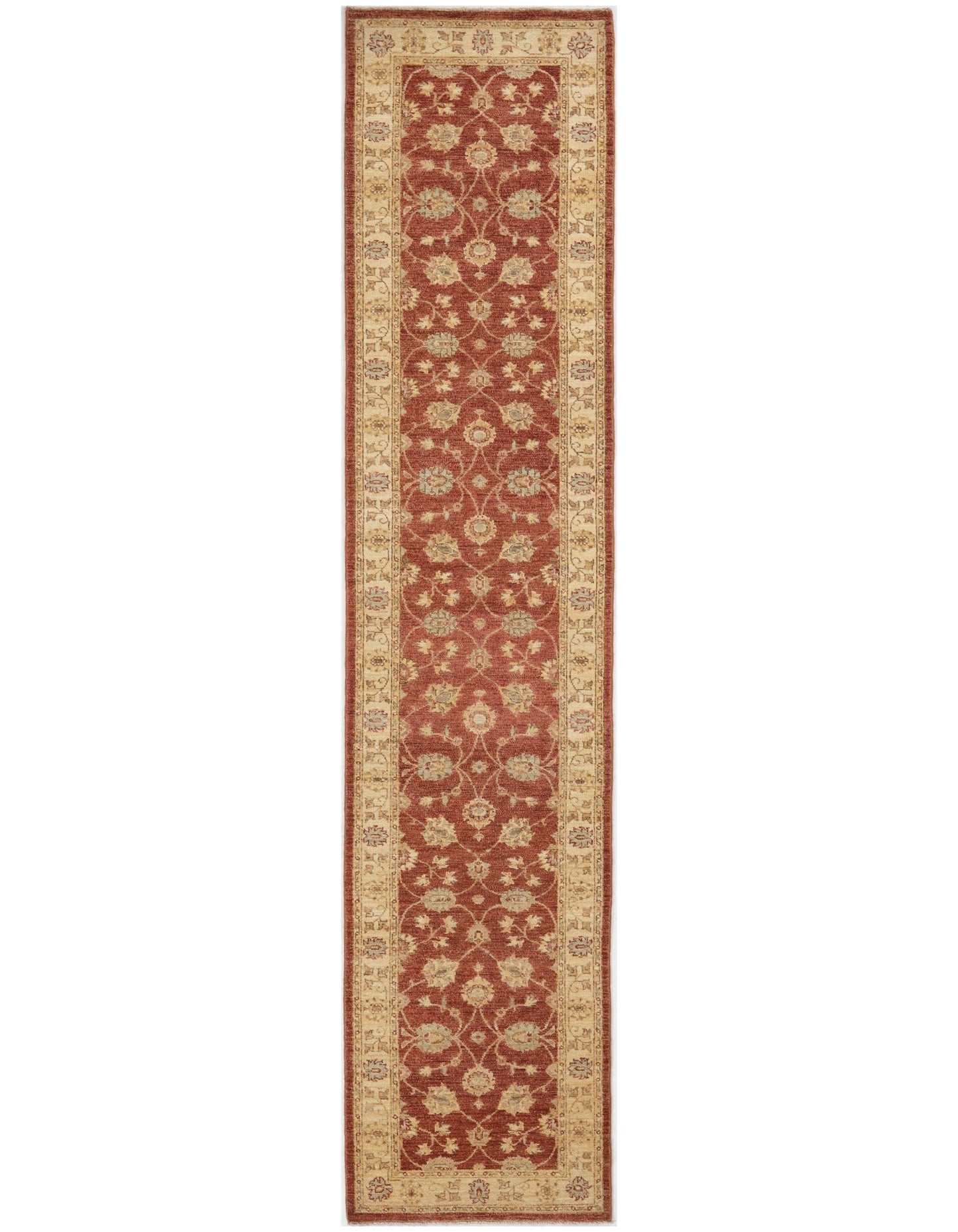 TRANSITIONAL-D48408