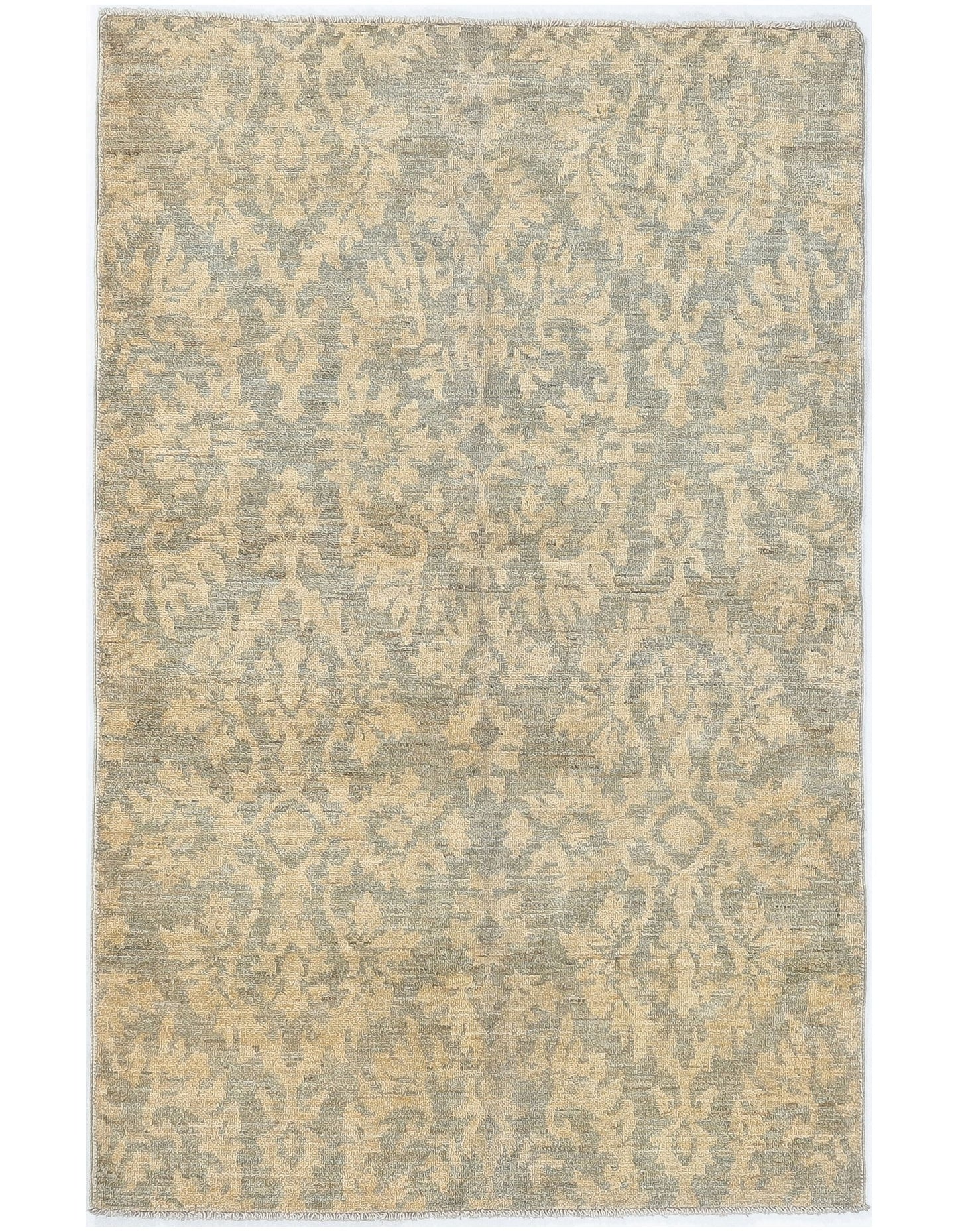 TRANSITIONAL-D48803
