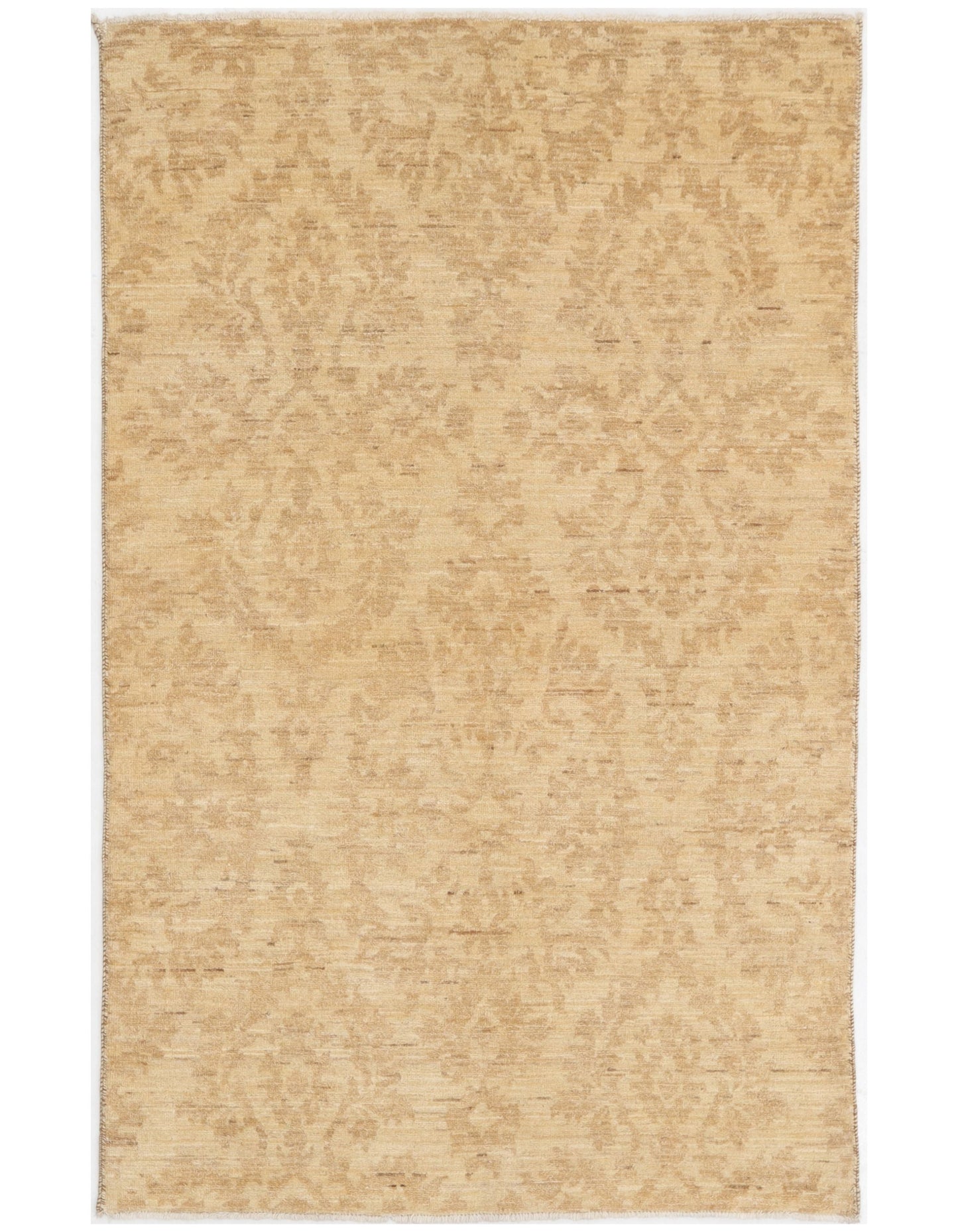 TRANSITIONAL-D48907