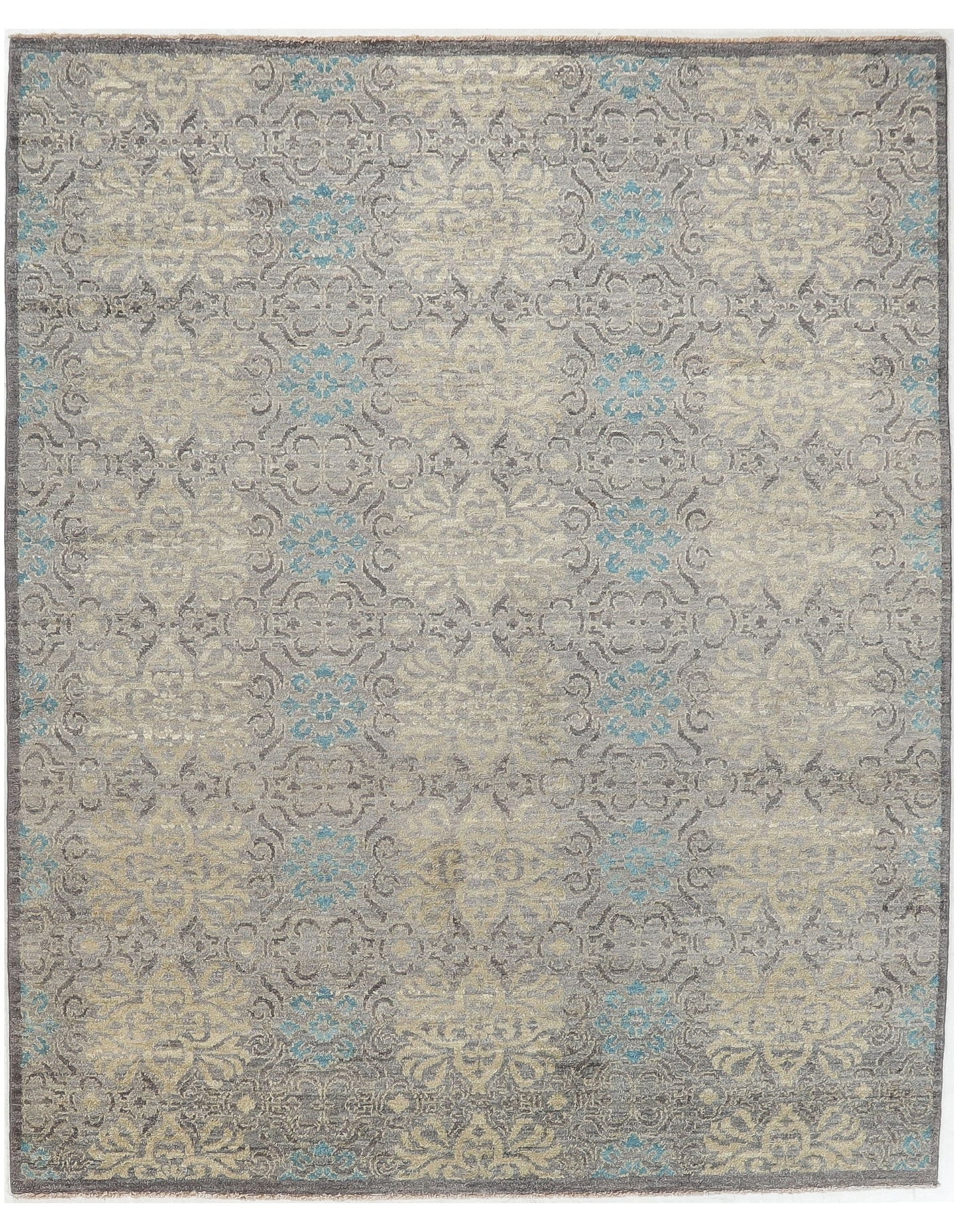 TRANSITIONAL-D52116