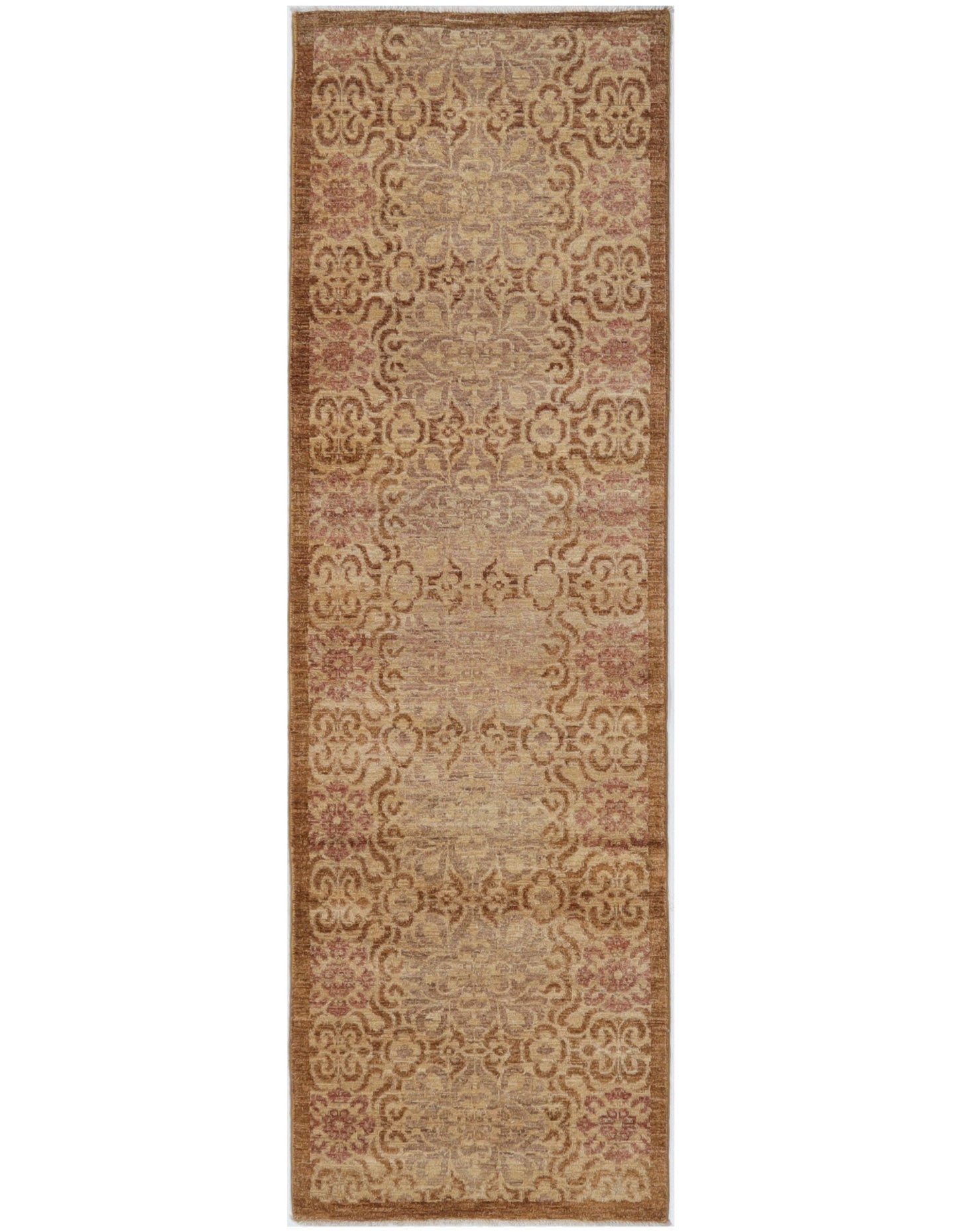 TRANSITIONAL-D52742