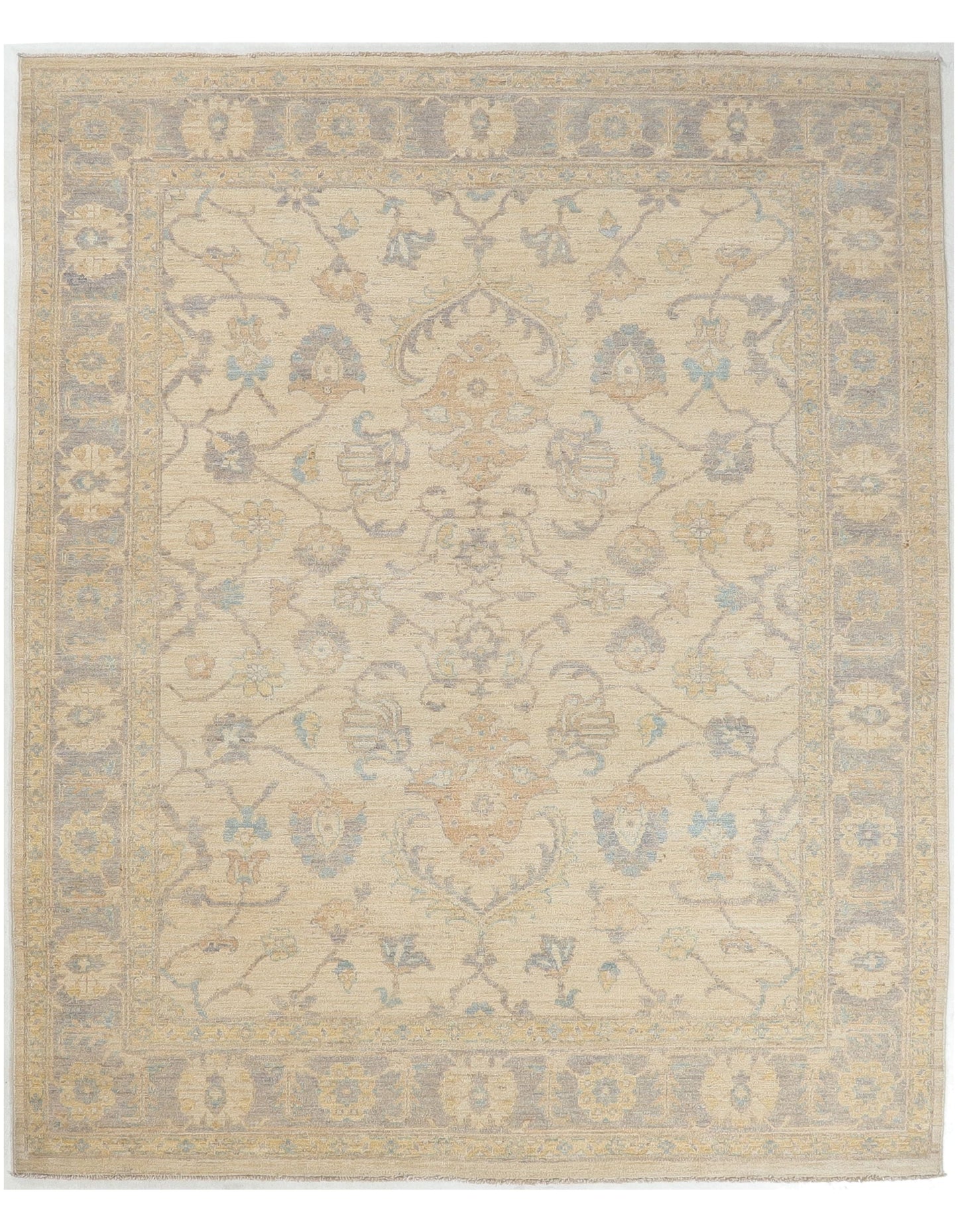 TRANSITIONAL-D53677