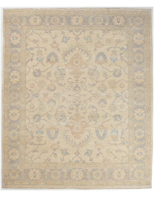 TRANSITIONAL-D53677