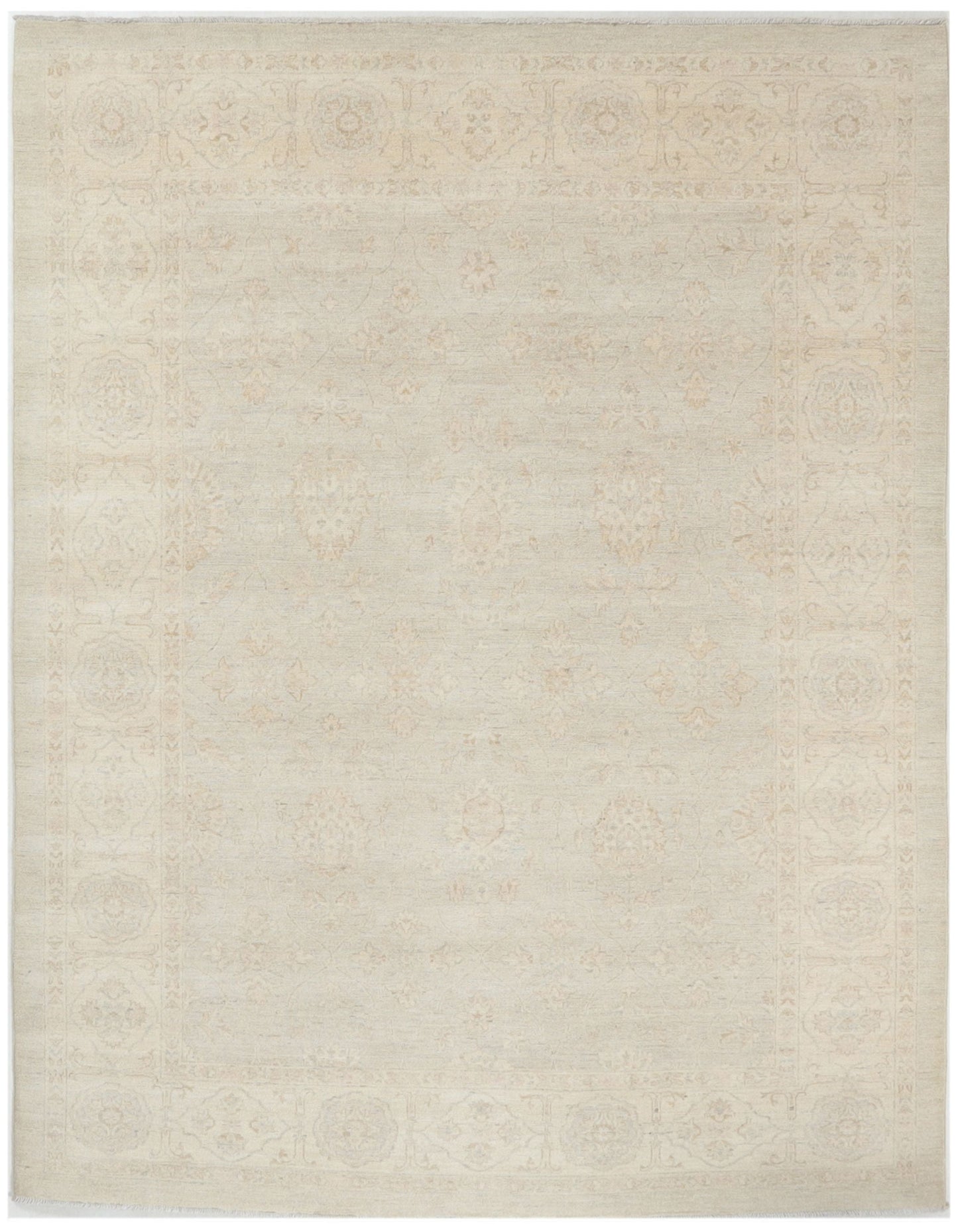 TRANSITIONAL-D56146