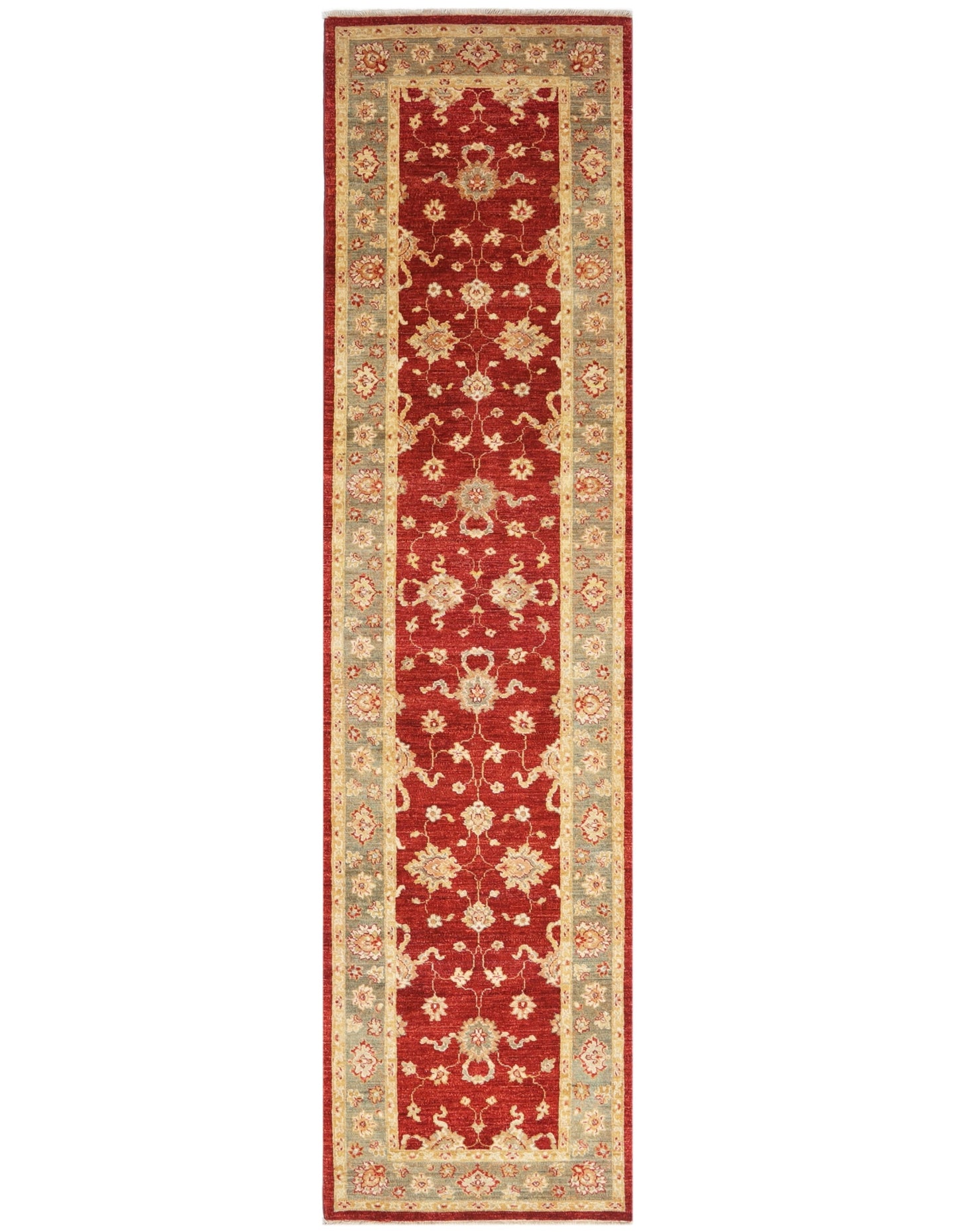 TRANSITIONAL-D40671