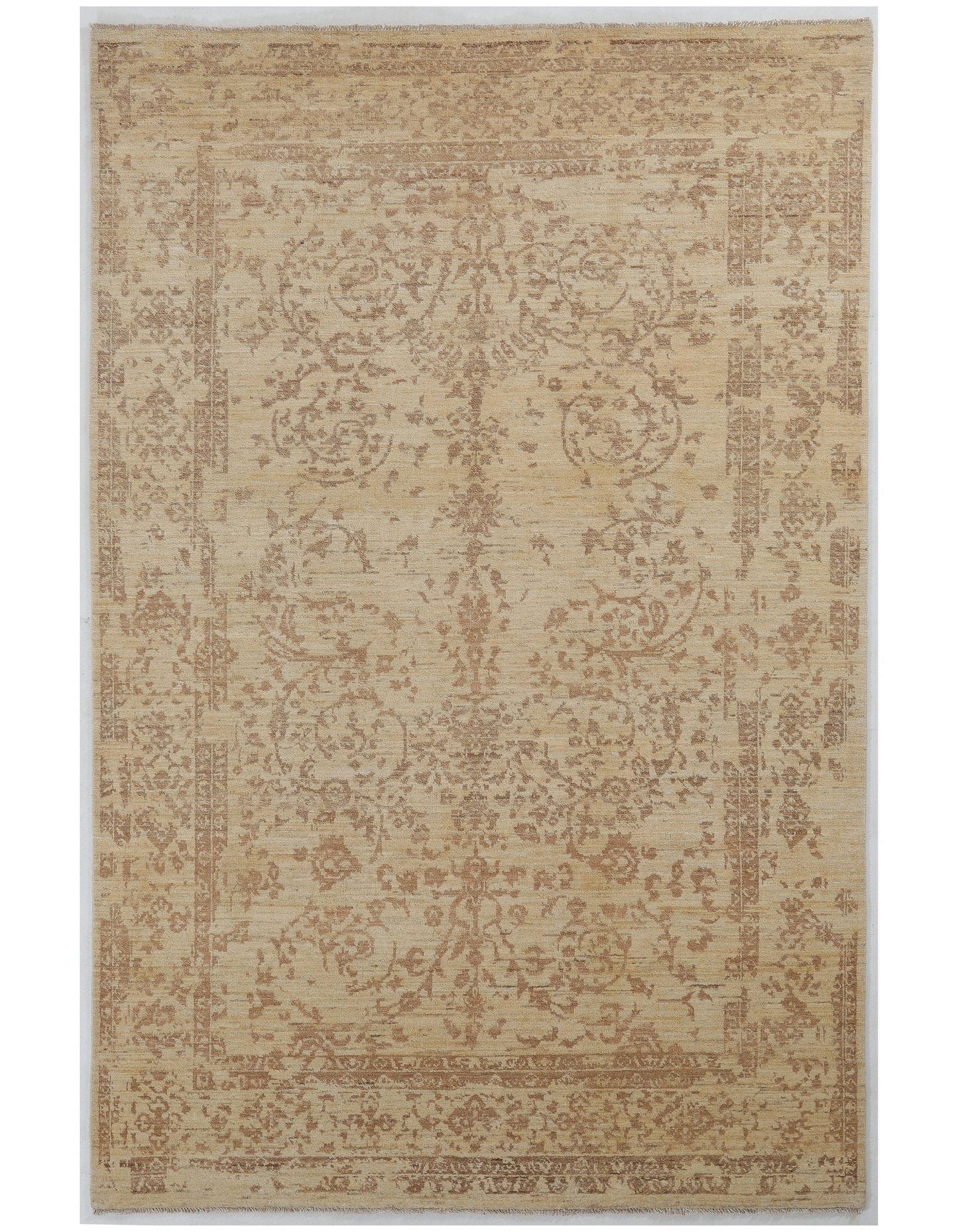 TRANSITIONAL-D57073