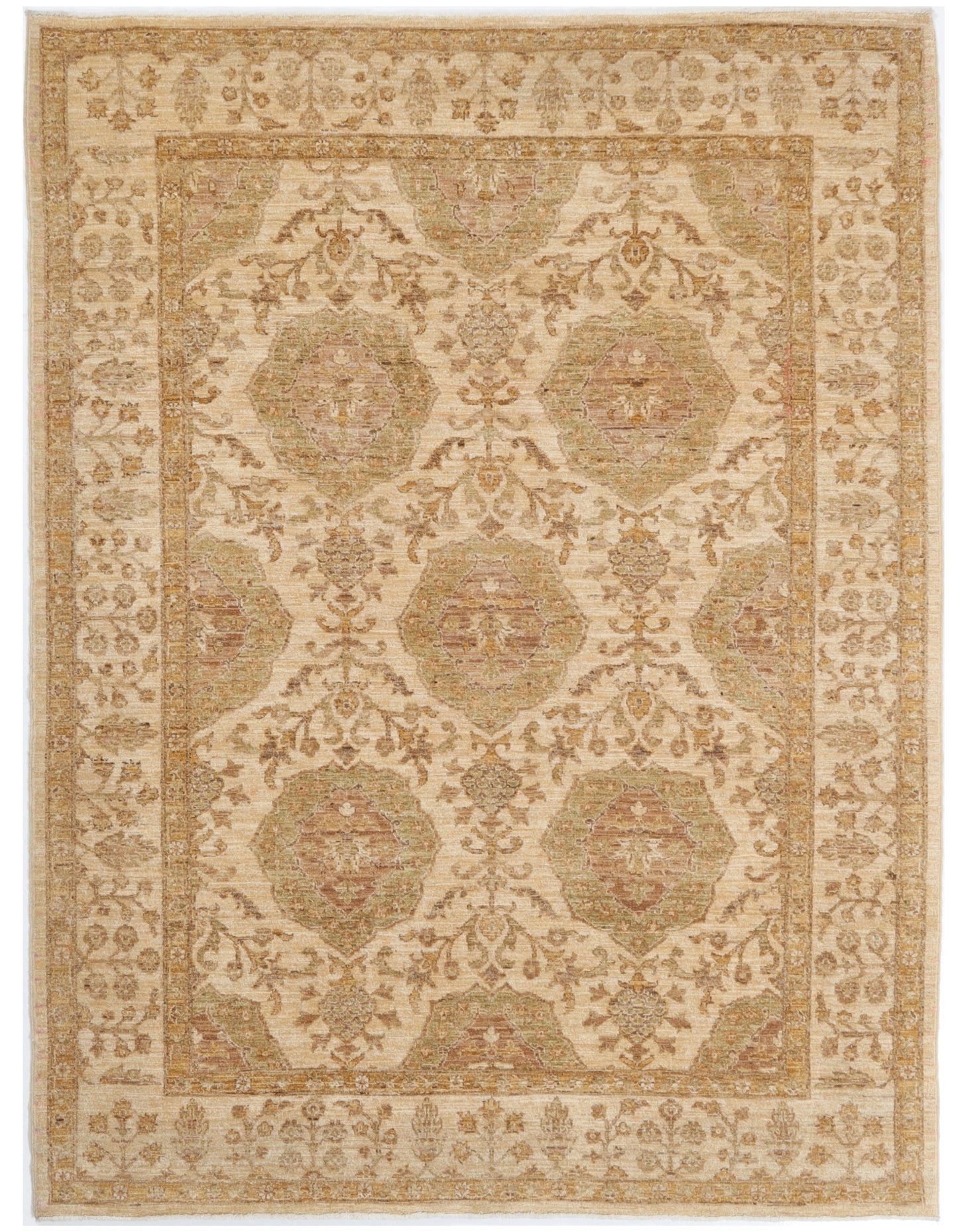 TRANSITIONAL-D41126