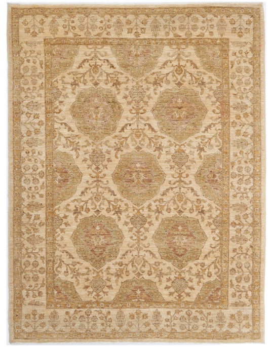 TRANSITIONAL-D41126