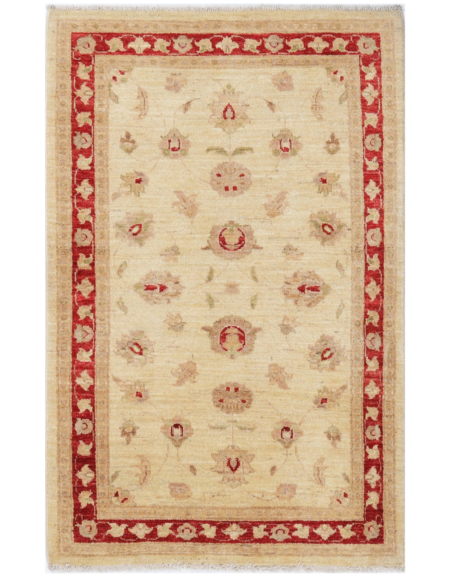TRANSITIONAL-D43596