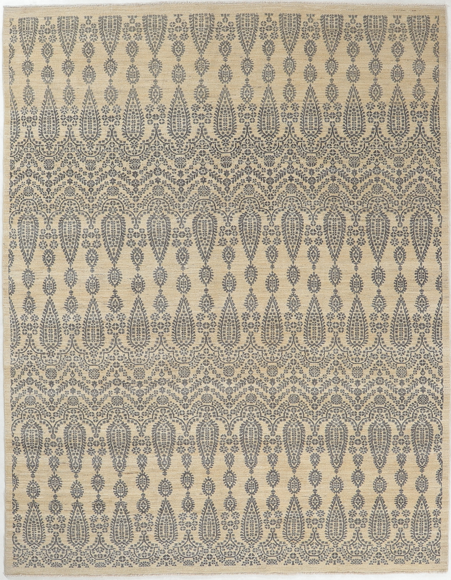 TRANSITIONAL-D55042