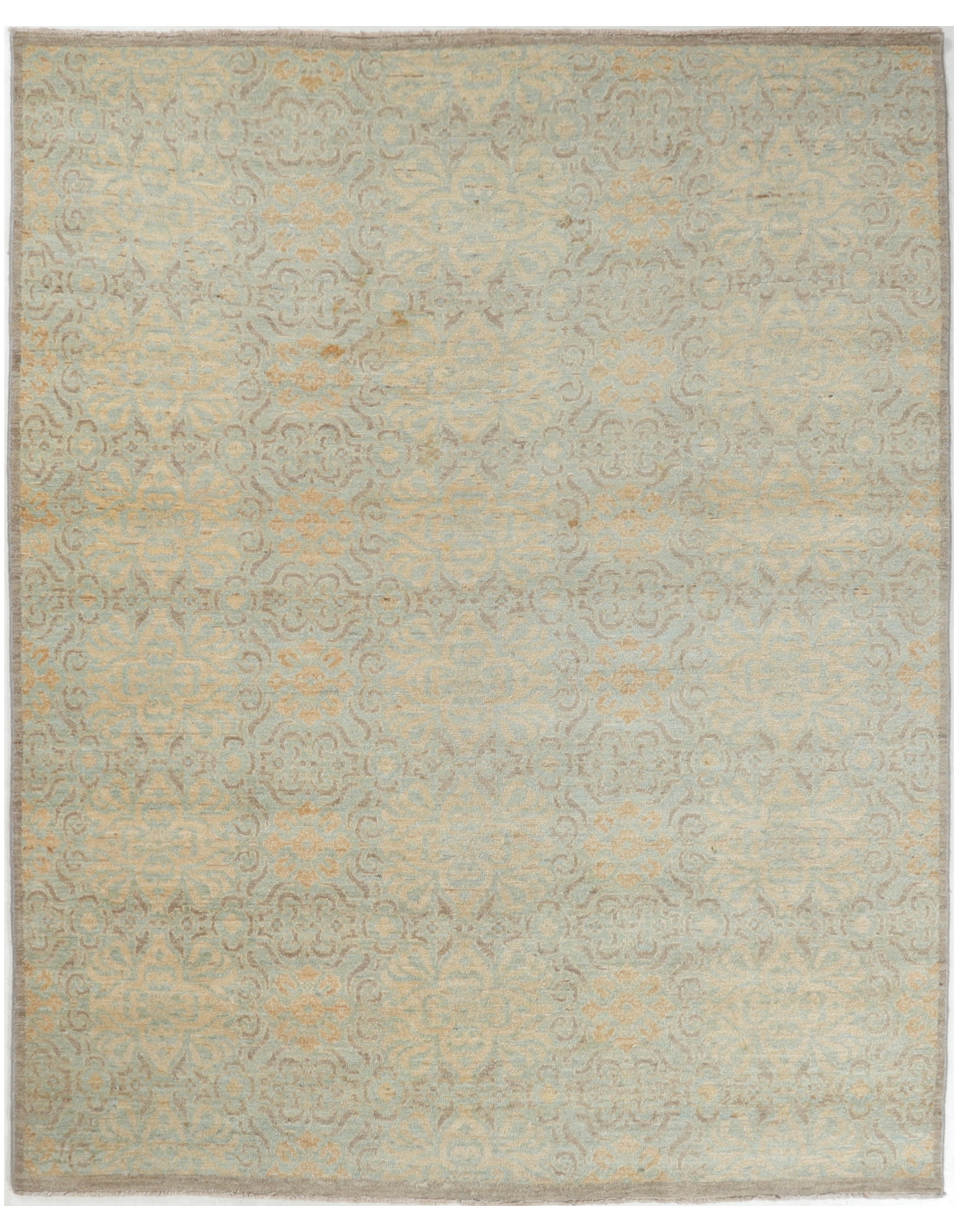 TRANSITIONAL-D51772