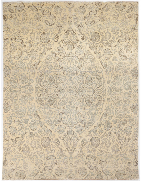 TRANSITIONAL-D52540
