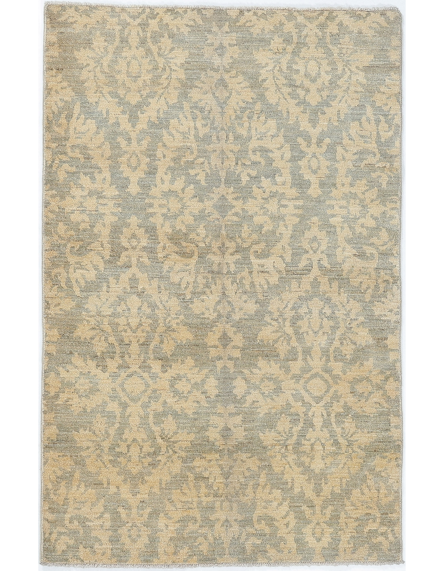 TRANSITIONAL-D57309
