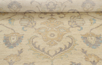 TRANSITIONAL-D53677