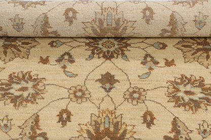 TRANSITIONAL-D48097