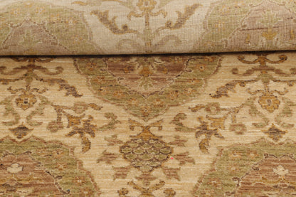 TRANSITIONAL-D41126