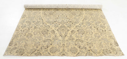 TRANSITIONAL-D52540