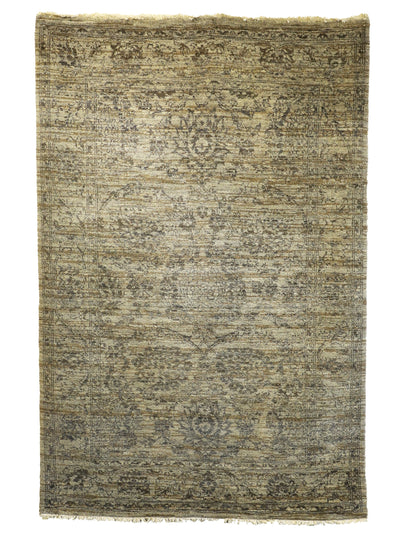 TRANSITIONAL-D57318