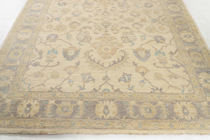 TRANSITIONAL-D53677