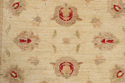 TRANSITIONAL-D43596