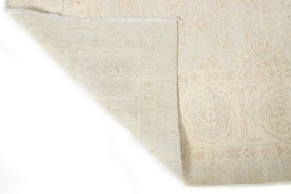 TRANSITIONAL-D56146