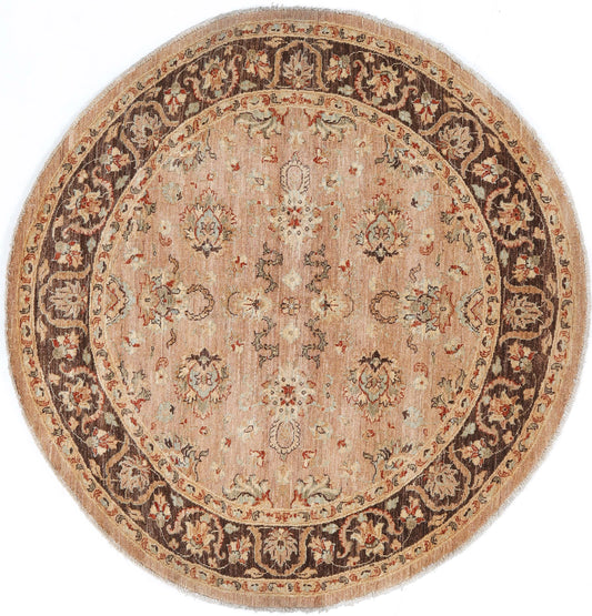 TRANSITIONAL-D41358