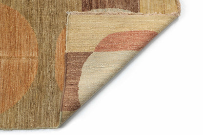 TRANSITIONAL-D20396