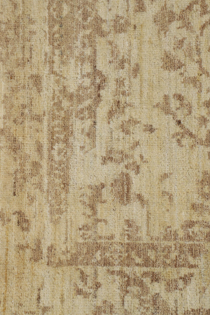 TRANSITIONAL-D57073