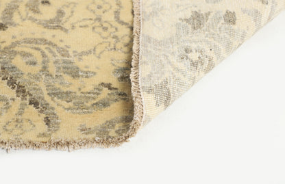 TRANSITIONAL-D52540