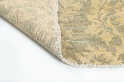 TRANSITIONAL-D57309
