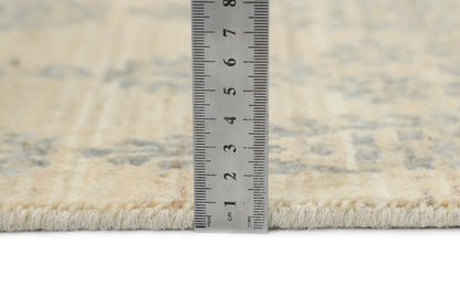 TRANSITIONAL-D57119