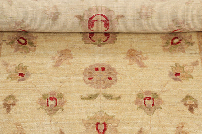TRANSITIONAL-D43596