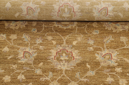 TRANSITIONAL-D46289
