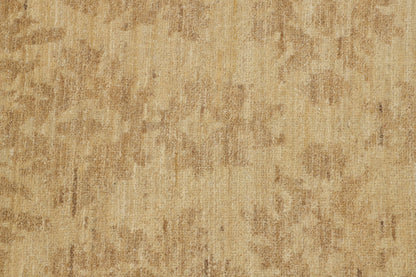 TRANSITIONAL-D48907