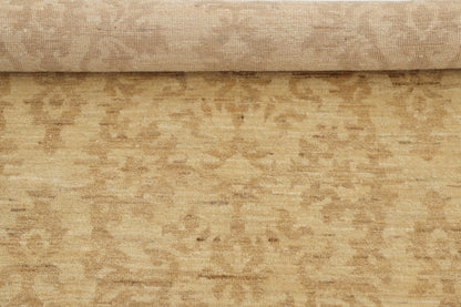 TRANSITIONAL-D48907